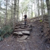 monkey_trail_13_20120929_1107711516