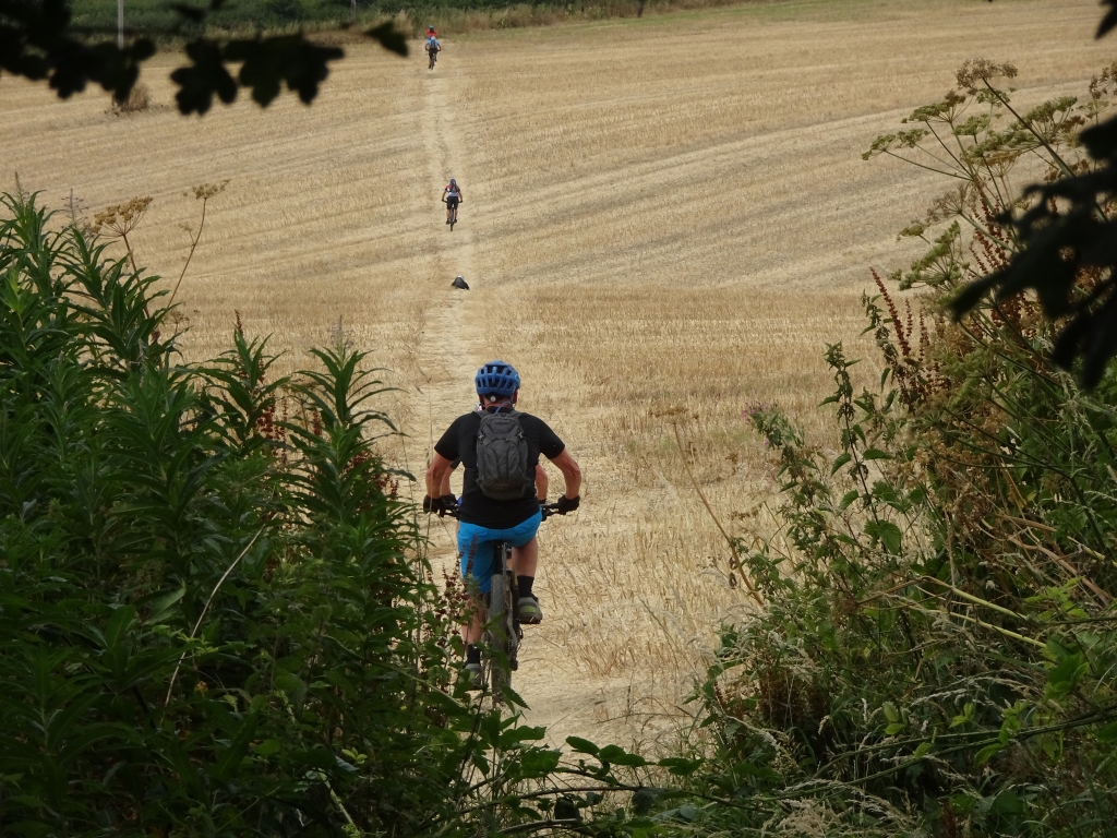 Carr Bridge July 2018