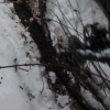 snowy_saturday_15_20101205_1358046858