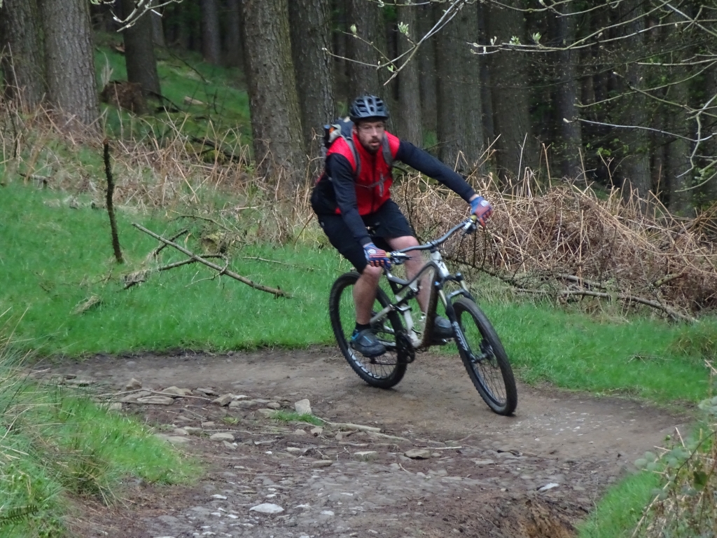Cut Gate Path May 2017