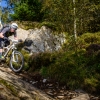 Grizedale-stage3