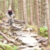 laggan_wolftrax_18_20100317_1212951897