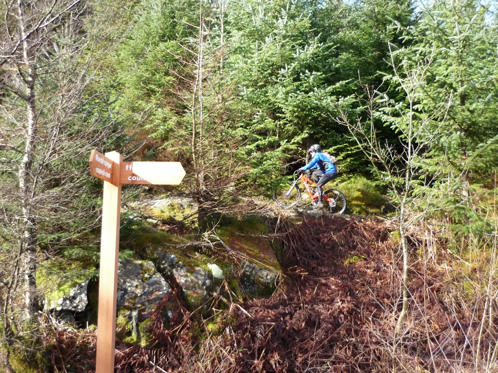 coed-y-brenin_3_20110307_1159651648